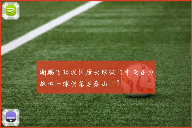 谢鹏飞助攻拉唐头球破门申花奋力扳回一球仍落后泰山1-3