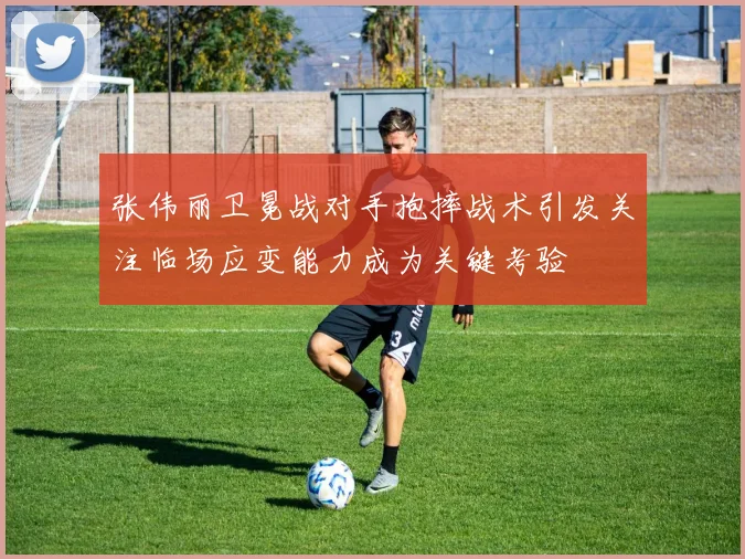 张伟丽卫冕战对手抱摔战术引发关注临场应变能力成为关键考验